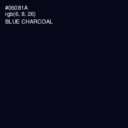 #06081A - Blue Charcoal Color Image